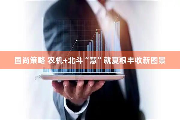 国尚策略 农机+北斗“慧”就夏粮丰收新图景