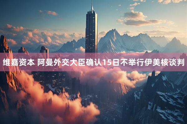 维嘉资本 阿曼外交大臣确认15日不举行伊美核谈判