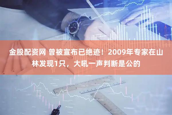 金股配资网 曾被宣布已绝迹！2009年专家在山林发现1只，大吼一声判断是公的