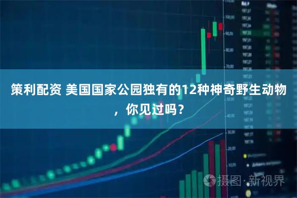 策利配资 美国国家公园独有的12种神奇野生动物，你见过吗？