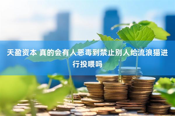 天盈资本 真的会有人恶毒到禁止别人给流浪猫进行投喂吗