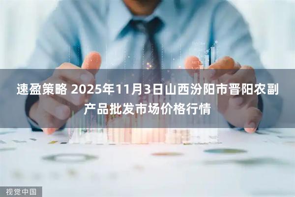 速盈策略 2025年11月3日山西汾阳市晋阳农副产品批发市场价格行情