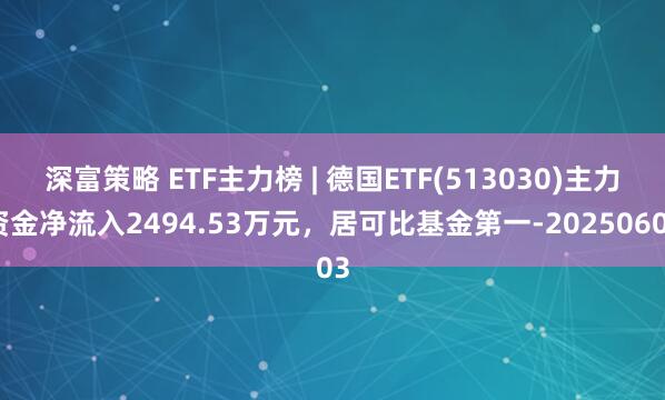 深富策略 ETF主力榜 | 德国ETF(513030)主力资金净流入2494.53万元，居可比基金第一-20250603