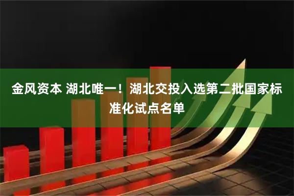 金风资本 湖北唯一！湖北交投入选第二批国家标准化试点名单